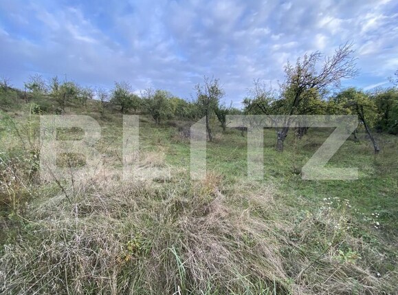 Teren de vânzare Exterior-Est - 158784TV | BLITZ Zalău | Poza2