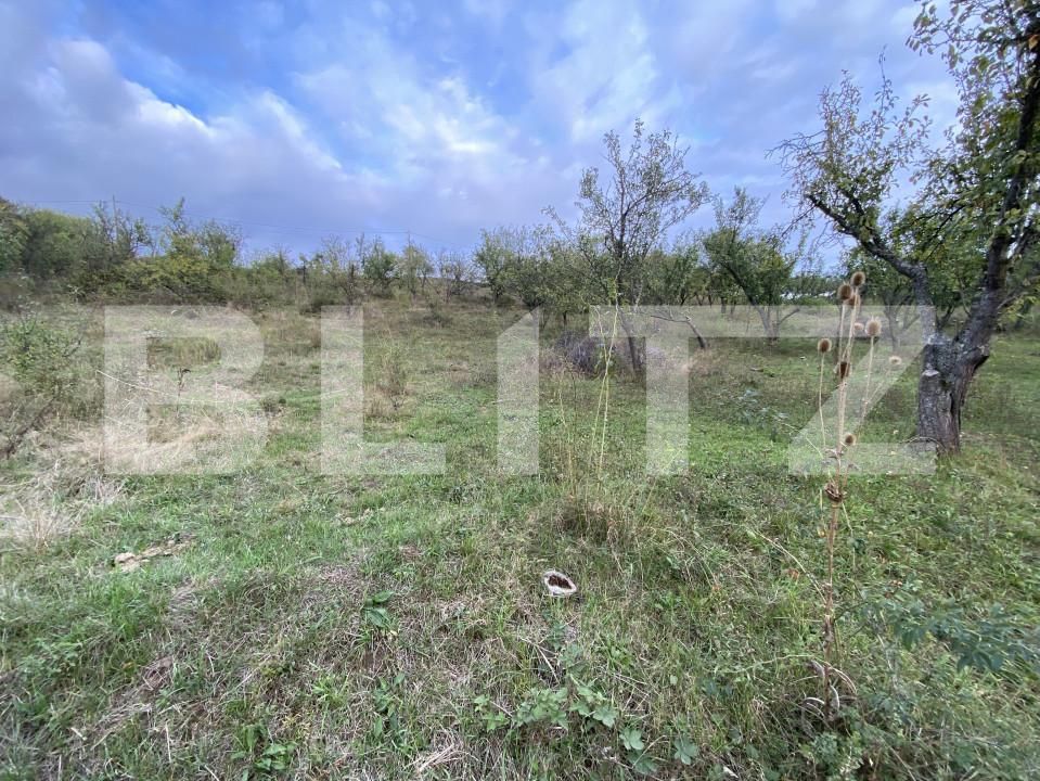 Teren de vânzare Exterior-Est - 158784TV | BLITZ Zalău | Poza5