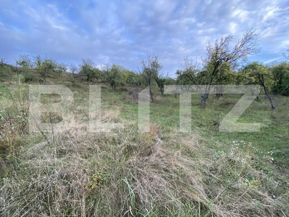 Teren de vânzare Exterior-Est - 158784TV | BLITZ Zalău | Poza3