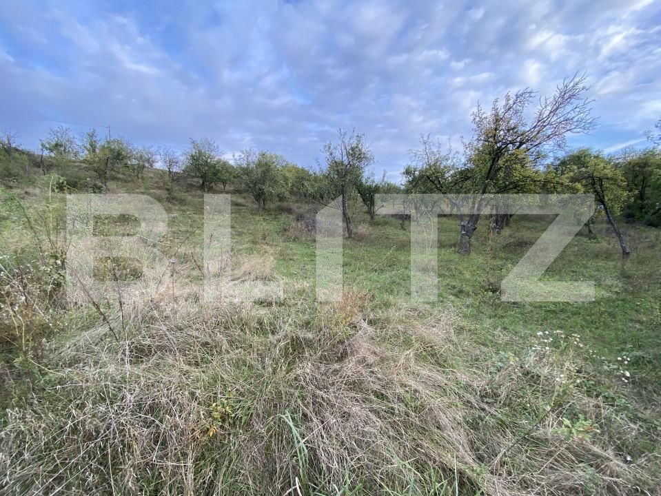 Teren de vânzare Exterior-Est - 158784TV | BLITZ Zalău | Poza2