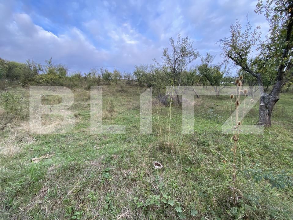 Teren de vânzare Exterior-Est - 158784TV | BLITZ Zalău | Poza6