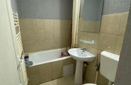 Garsoniera  semidecomandata, bucatarie separata, zona Dumbrava