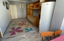 Garsoniera  semidecomandata, bucatarie separata, zona Dumbrava