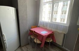 Garsoniera  semidecomandata, bucatarie separata, zona Dumbrava