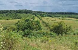 Teren entravilan 10000 mp in localitatea Hereclean