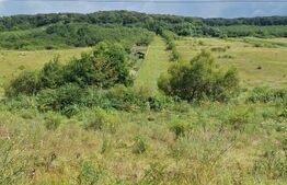 Teren entravilan 10000 mp in localitatea Hereclean