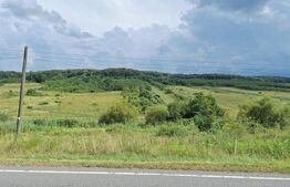 Teren entravilan 10000 mp in localitatea Hereclean