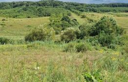 Teren entravilan 10000 mp in localitatea Hereclean