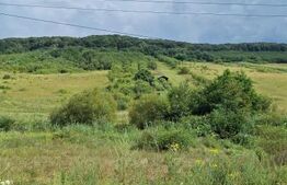 Teren entravilan 10000 mp in localitatea Hereclean