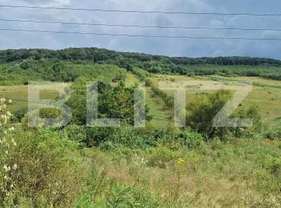 Teren de vânzare Hereclean - 159020TV | BLITZ Zalău | Poza3