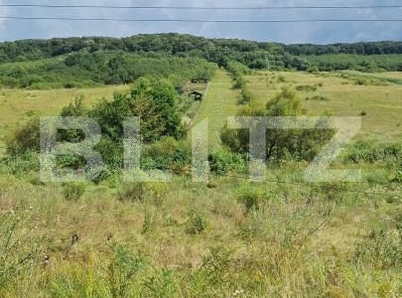 Teren de vânzare Hereclean - 159020TV | BLITZ Zalău | Poza4