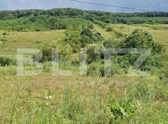 Teren de vânzare Hereclean - 159020TV | BLITZ Zalău | Poza5