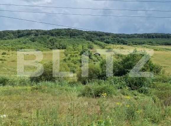 Teren de vânzare Hereclean - 159020TV | BLITZ Zalău | Poza2