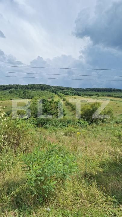 Teren de vânzare Hereclean - 159020TV | BLITZ Zalău | Poza3