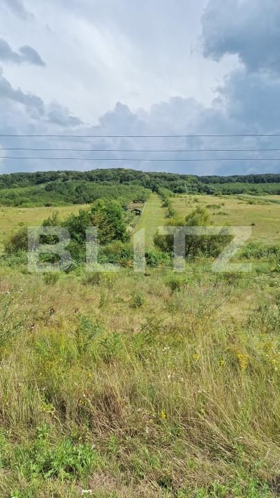 Teren de vânzare Hereclean - 159020TV | BLITZ Zalău | Poza4