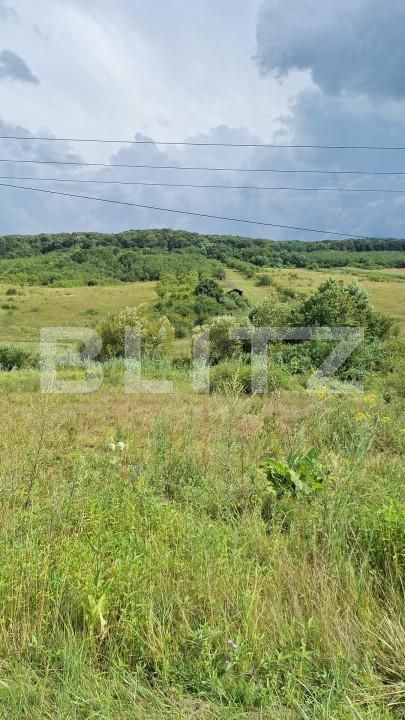 Teren de vânzare Hereclean - 159020TV | BLITZ Zalău | Poza5