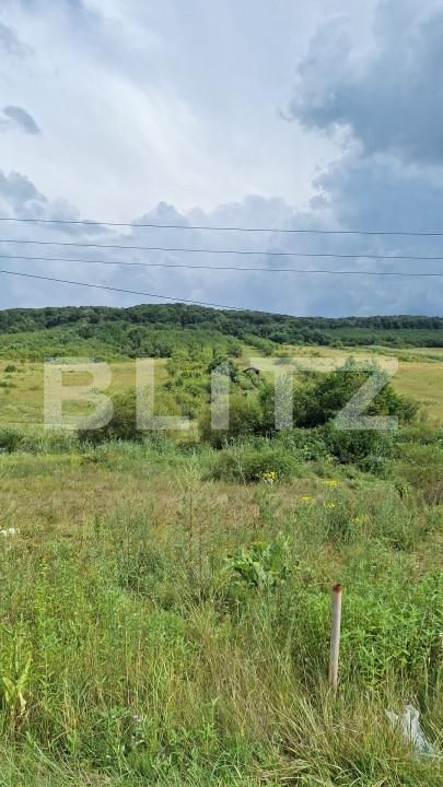 Teren de vânzare Hereclean - 159020TV | BLITZ Zalău | Poza2