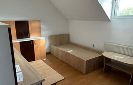 Inchiriere spatiu comercial