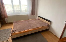 Apartament cu 2 camere de vanzare,40 mp utili, zona centrala