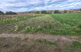 Teren extravilan de vanzare