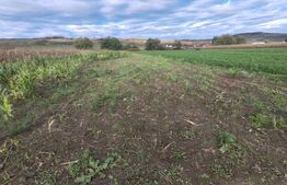 Teren extravilan de vanzare