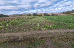 Teren extravilan de vanzare