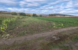 Teren extravilan de vanzare