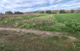 Teren extravilan de vanzare