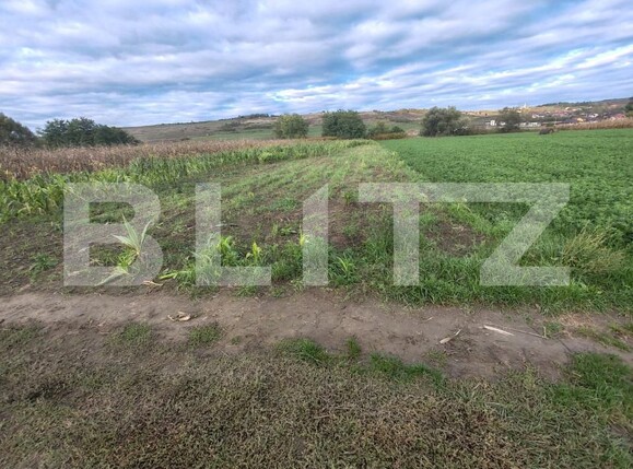 Teren de vânzare Hereclean - 159581TV | BLITZ Zalău | Poza5