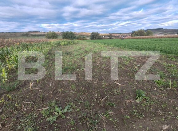 Teren de vânzare Hereclean - 159581TV | BLITZ Zalău | Poza3