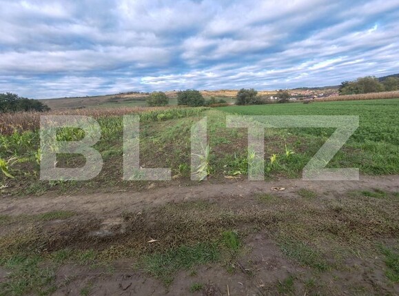 Teren de vânzare Hereclean - 159581TV | BLITZ Zalău | Poza1