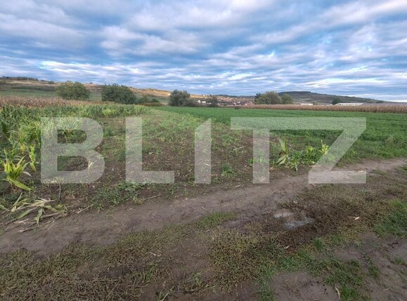 Teren de vânzare Hereclean - 159581TV | BLITZ Zalău | Poza2