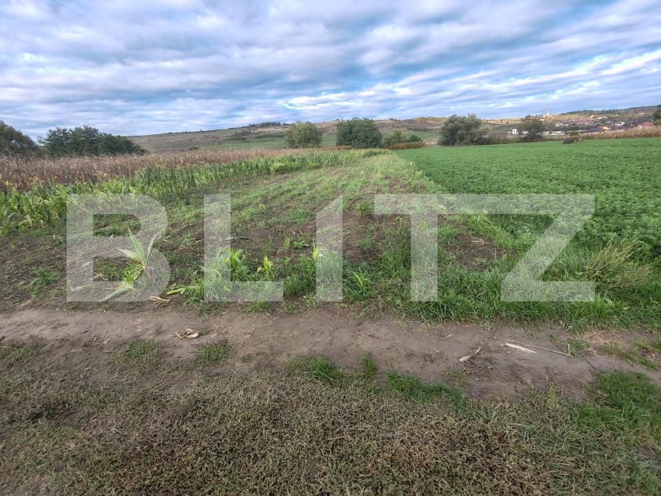 Teren de vânzare Hereclean - 159581TV | BLITZ Zalău | Poza5