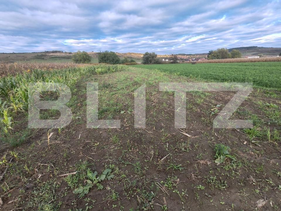 Teren de vânzare Hereclean - 159581TV | BLITZ Zalău | Poza3