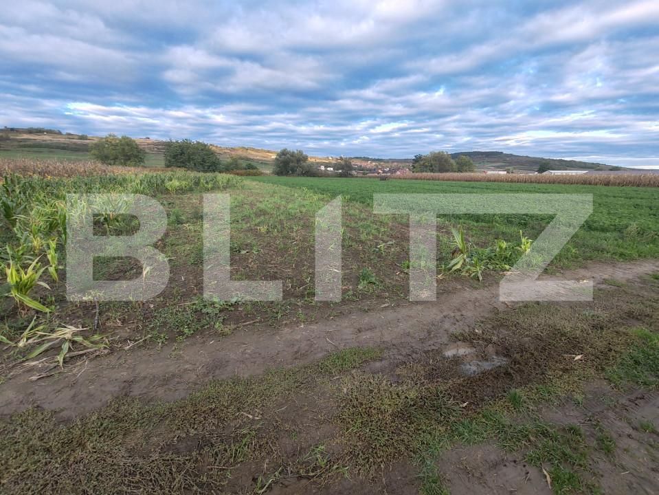 Teren de vânzare Hereclean - 159581TV | BLITZ Zalău | Poza2