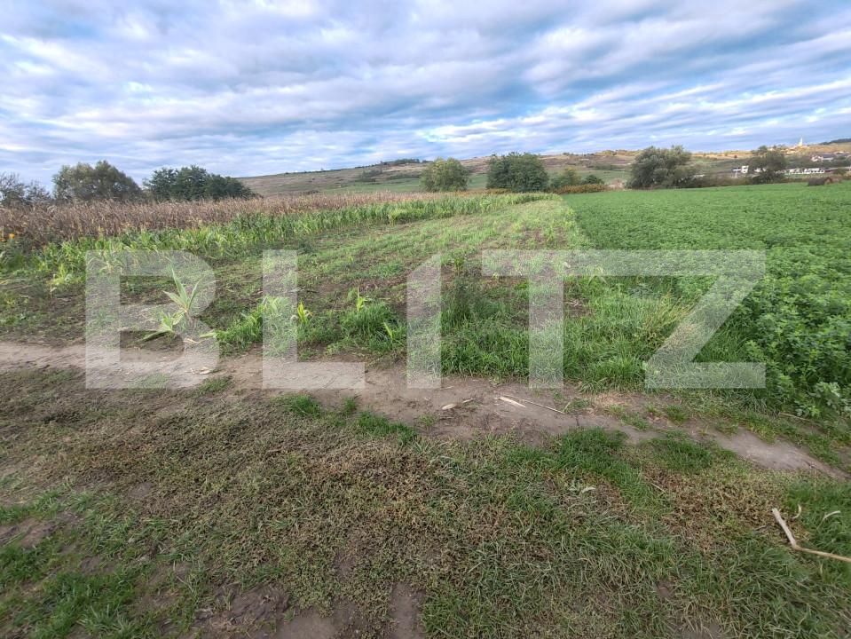 Teren de vânzare Hereclean - 159581TV | BLITZ Zalău | Poza4