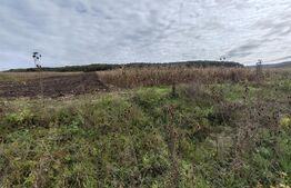 Teren intravilan de vanzare