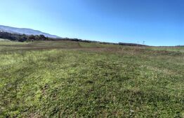 Teren intravilan de vanzare