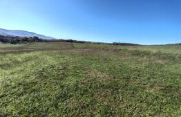 Teren intravilan de vanzare