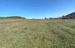 Teren intravilan de vanzare