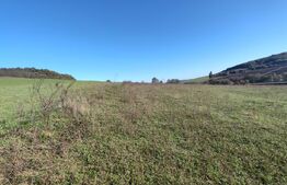 Teren intravilan de vanzare