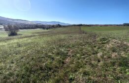 Teren intravilan de vanzare