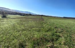 Teren intravilan de vanzare