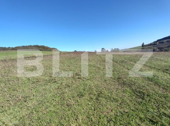 Teren de vânzare Vest - 159706TV | BLITZ Zalău | Poza7