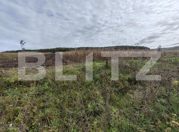 Teren de vânzare Vest - 159706TV | BLITZ Zalău | Poza1