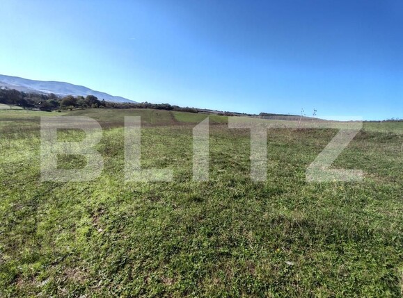 Teren de vânzare Vest - 159706TV | BLITZ Zalău | Poza3