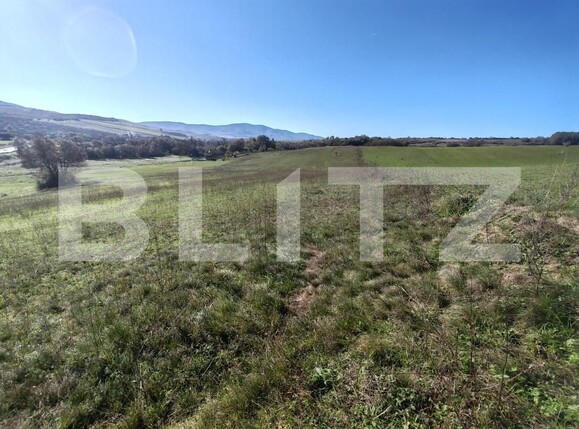 Teren de vânzare Vest - 159706TV | BLITZ Zalău | Poza5