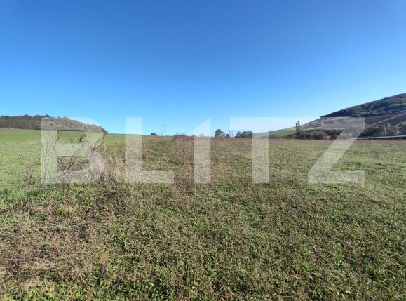 Teren de vânzare Vest - 159706TV | BLITZ Zalău | Poza6