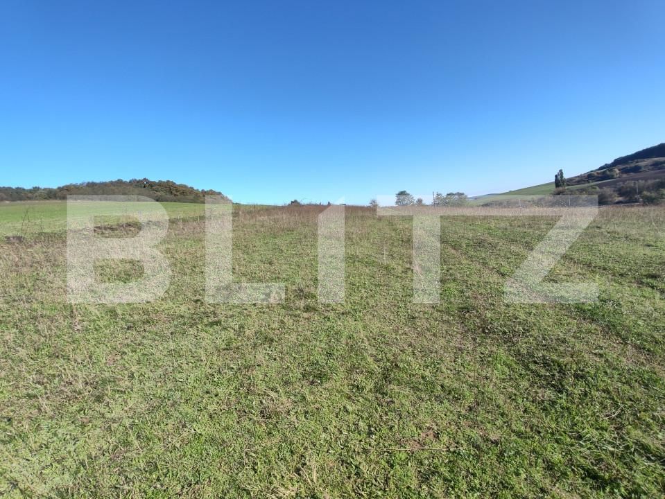 Teren de vânzare Vest - 159706TV | BLITZ Zalău | Poza7