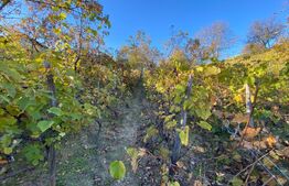 Casa tip anexa in SU 72 mp construita in extravilan la poalele Mesesului